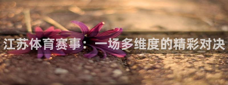 江苏体育赛事:一场多维度的精彩对决