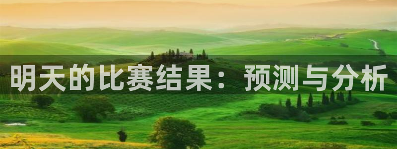 明天的比赛结果:预测与分析