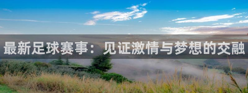 最新足球赛事:见证激情与梦想的交融