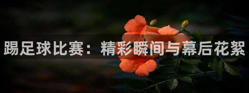 踢足球比赛:精彩瞬间与幕后花絮