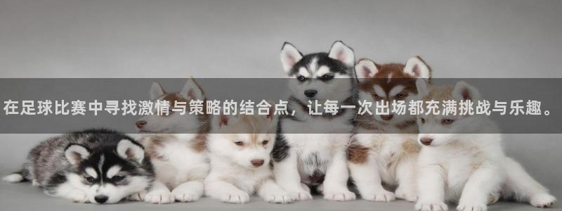 在足球比赛中寻找激情与策略的结合点,让每一次出场都充满挑战与
