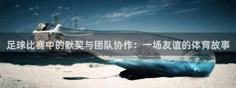 足球比赛中的默契与团队协作:一场友谊的体育故事